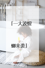 一大波螳螂来袭