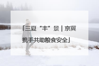 三夏“丰”景｜京冀携手共助粮食安全