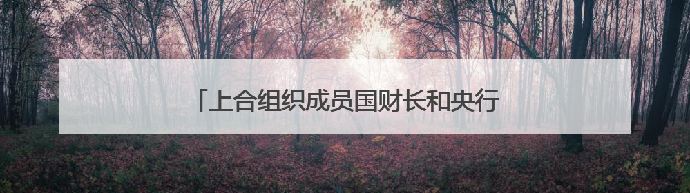 上合组织成员国财长和央行行长会议支持深化财金合作
