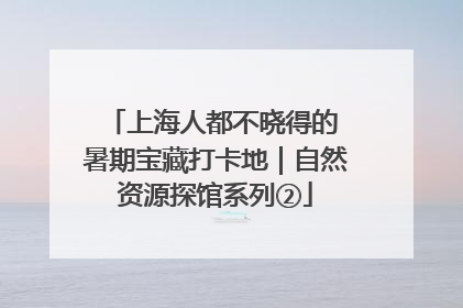 上海人都不晓得的 暑期宝藏打卡地｜自然资源探馆系列②
