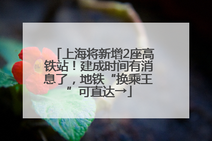 上海将新增2座高铁站！建成时间有消息了，地铁“换乘王”可直达→