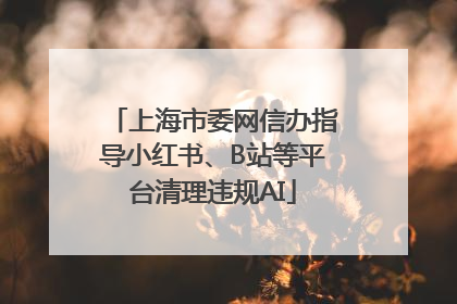 上海市委网信办指导小红书、B站等平台清理违规AI