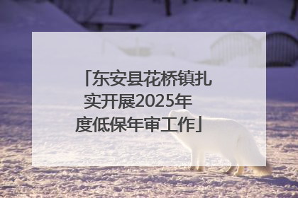 东安县花桥镇扎实开展2025年度低保年审工作