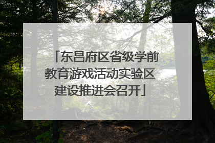 东昌府区省级学前教育游戏活动实验区建设推进会召开