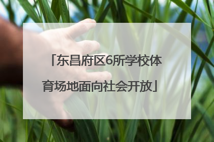 东昌府区6所学校体育场地面向社会开放