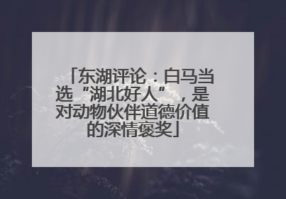 东湖评论：白马当选“湖北好人”，是对动物伙伴道德价值的深情褒奖