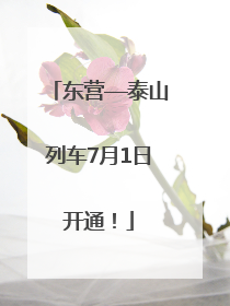 东营—泰山列车7月1日开通！