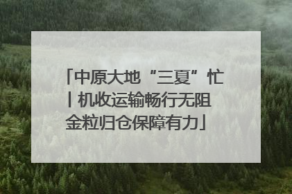 中原大地“三夏”忙丨机收运输畅行无阻 金粒归仓保障有力