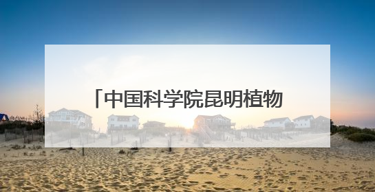 中国科学院昆明植物研究所和深圳兰科中心联合科考取得重要成果 在神农架发现两种“国保”级兰花