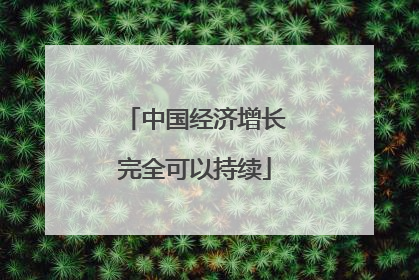 中国经济增长完全可以持续