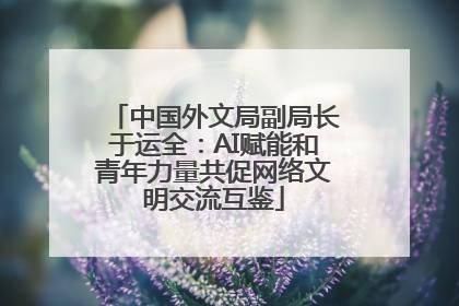 中国外文局副局长于运全：AI赋能和青年力量共促网络文明交流互鉴