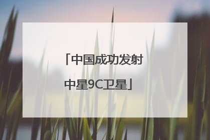 中国成功发射中星9C卫星
