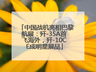 中国战机亮相巴黎航展：歼-35A首飞海外，歼-10CE成明星展品