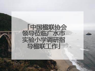 中国楹联协会领导莅临广水市实验小学调研指导楹联工作