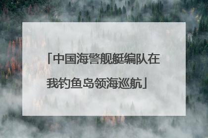 中国海警舰艇编队在我钓鱼岛领海巡航