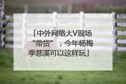 中外网络大V现场“带货”，今年杨梅季慈溪可以这样玩