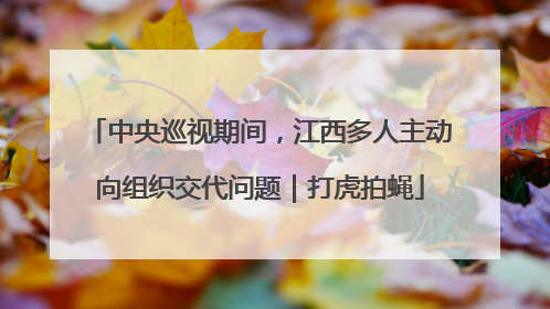 中央巡视期间，江西多人主动向组织交代问题｜打虎拍蝇