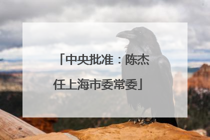 中央批准：陈杰任上海市委常委