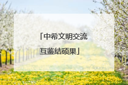 中希文明交流互鉴结硕果