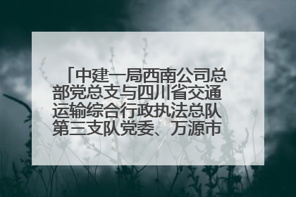 中建一局西南公司总部党总支与四川省交通运输综合行政执法总队第三支队党委、万源市草坝镇莲花院村党支部开展党建联建