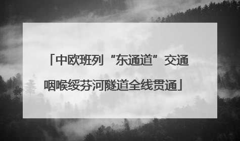 中欧班列“东通道”交通咽喉绥芬河隧道全线贯通