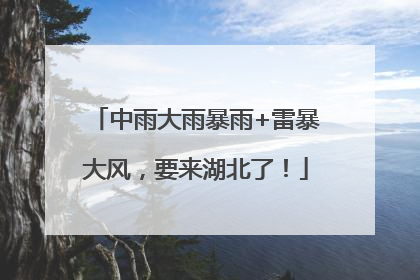 中雨大雨暴雨+雷暴大风，要来湖北了！