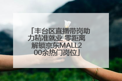 丰台区直播带岗助力精准就业 零距离解锁京东MALL200余热门岗位
