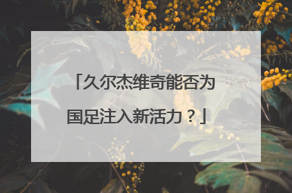 久尔杰维奇能否为国足注入新活力？