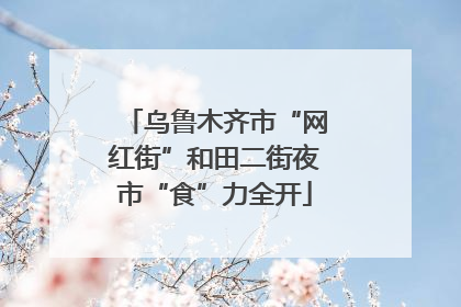 乌鲁木齐市“网红街”和田二街夜市“食”力全开