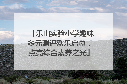 乐山实验小学趣味多元测评欢乐启幕，点亮综合素养之光