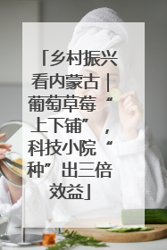 乡村振兴看内蒙古｜葡萄草莓“上下铺”，科技小院“种”出三倍效益