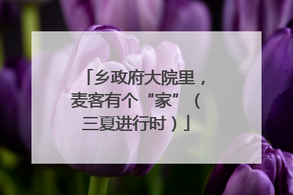 乡政府大院里，麦客有个“家”（三夏进行时）