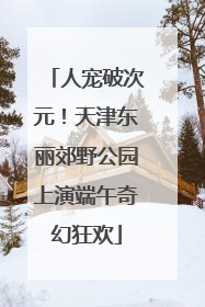 人宠破次元！天津东丽郊野公园上演端午奇幻狂欢