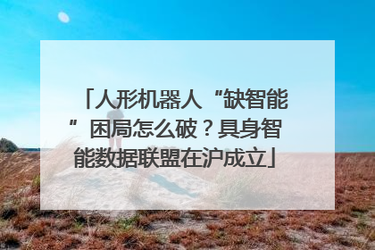 人形机器人“缺智能”困局怎么破？具身智能数据联盟在沪成立