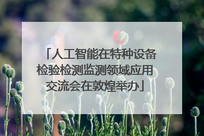 人工智能在特种设备检验检测监测领域应用交流会在敦煌举办