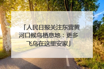 人民日报关注东营黄河口候鸟栖息地：更多飞鸟在这里安家