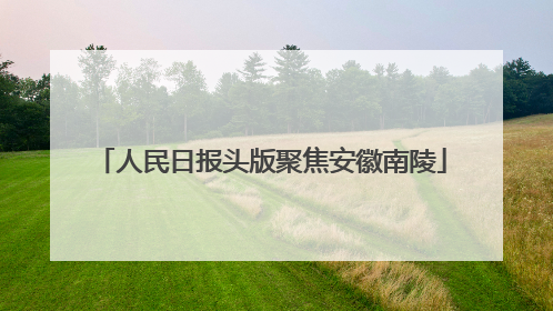 人民日报头版聚焦安徽南陵
