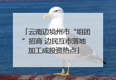 云南边境州市“组团”招商 边民互市落地加工成投资热点