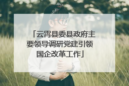 云霄县委县政府主要领导调研党建引领国企改革工作