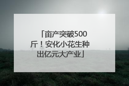 亩产突破500斤！安化小花生种出亿元大产业