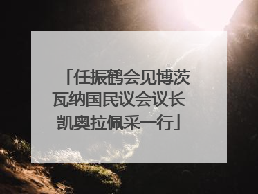 任振鹤会见博茨瓦纳国民议会议长凯奥拉佩采一行