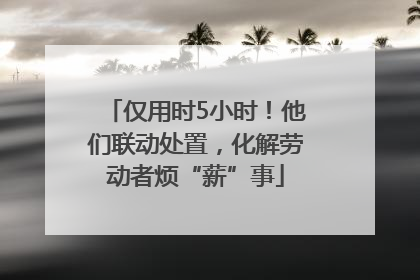 仅用时5小时！他们联动处置，化解劳动者烦“薪”事