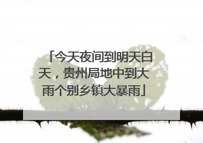 今天夜间到明天白天，贵州局地中到大雨个别乡镇大暴雨