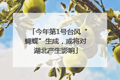 今年第1号台风“蝴蝶”生成，或将对湖北产生影响
