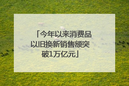 今年以来消费品以旧换新销售额突破1万亿元