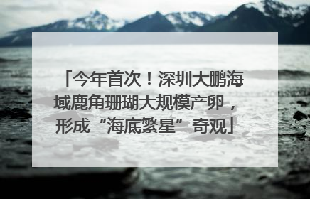 今年首次！深圳大鹏海域鹿角珊瑚大规模产卵，形成“海底繁星”奇观