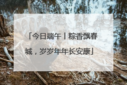 今日端午丨粽香飘春城，岁岁年年长安康