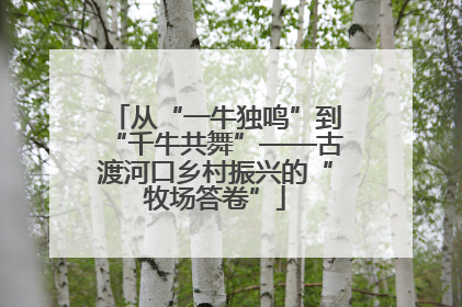 从“一牛独鸣”到“千牛共舞”——古渡河口乡村振兴的“牧场答卷”