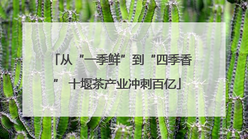 从“一季鲜”到“四季香” 十堰茶产业冲刺百亿