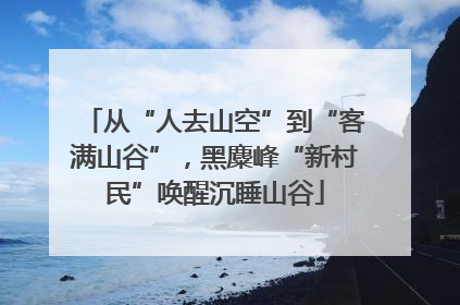 从“人去山空”到“客满山谷”，黑麋峰“新村民”唤醒沉睡山谷